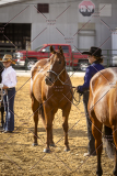 PCSCShow101825_8885
