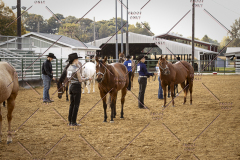 PCSCShow101825_8891