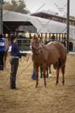 PCSCShow101825_8893