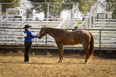 PCSCShow101825_8904