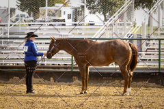 PCSCShow101825_8907