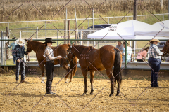 PCSCShow101825_8912