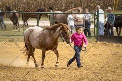 PCSCShow101825_8932