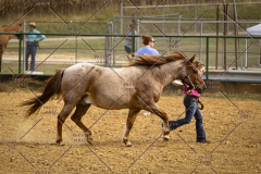 PCSCShow101825_8935