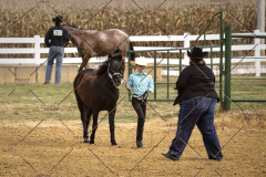 PCSCShow101825_8939