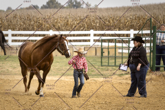 PCSCShow101825_8966