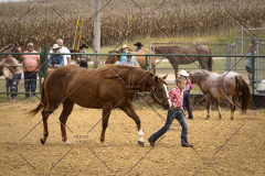 PCSCShow101825_8971