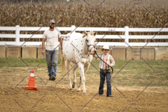 PCSCShow101825_8974