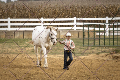 PCSCShow101825_8976