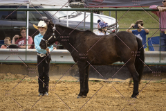 PCSCShow101825_8990