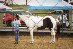 PCSCShow101825_8993