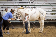 PCSCShow101825_8995