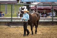 PCSCShow101825_9046