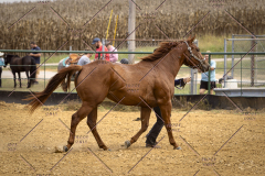 PCSCShow101825_9061