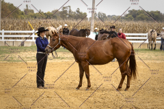 PCSCShow101825_9079