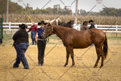 PCSCShow101825_9080