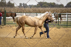 PCSCShow101825_9158