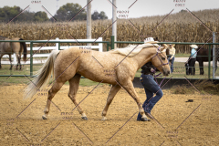 PCSCShow101825_9159