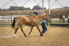 PCSCShow101825_9193