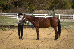 PCSCShow101825_9228