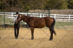 PCSCShow101825_9229