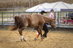 PCSCShow101825_9240