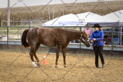 PCSCShow101825_9242