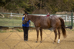 PCSCShow101825_9252