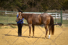 PCSCShow101825_9255