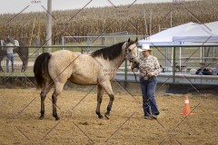 PCSCShow101825_9266