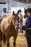 PCSCShow101825_9309