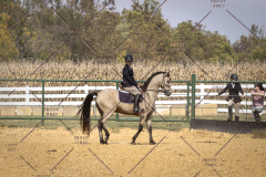 PCSCShow101825_0989