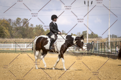 PCSCShow101825_0997