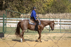 PCSCShow101825_9791