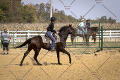 PCSCShow101825_9944