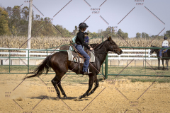 PCSCShow101825_9945