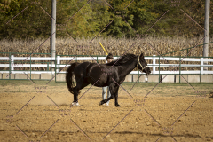 PCSCShow101825_8678