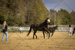 PCSCShow101825_8685