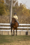 PCSCShow101825_9433