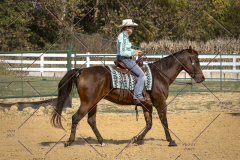 PCSCShow101825_9635