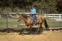 PCSCShow101825_0226