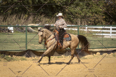PCSCShow101825_0287