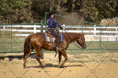 PCSCShow101825_0315