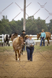 PCSCShow51626_1530