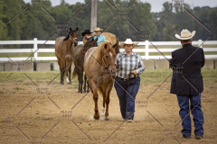 PCSCShow51626_1532
