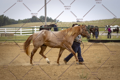 PCSCShow51626_1536