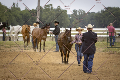 PCSCShow51626_1543