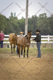 PCSCShow51626_1550
