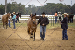 PCSCShow51626_1557