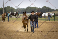 PCSCShow51626_1559